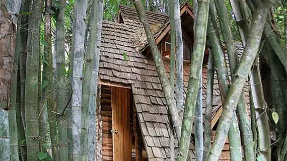 Rabeang Pasak Treehouse Resort | Chiang Mai İli - Doi Saket