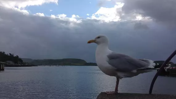 Lagganbeg Guest House | İskoçya - Scottish Highlands - Oban