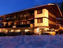 Hotel Armin | Trentino-Alto Adige - Güney Tirol (il) - Selva di Val Gardena