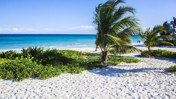 Homing Bird Casa Matuk | Quintana Roo - Solidaridad - Playa del Carmen - Playacar Plajı