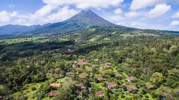 Mountain Paradise Hotel | Alajuela (ili) - San Carlos (kantonu) - La Fortuna - Palma