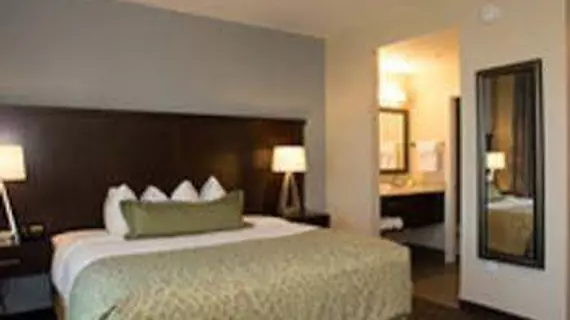 Staybridge Suites St. Petersburg FL | Florida - St. Petersburg - Clearwater (ve civarı) - St. Petersburg