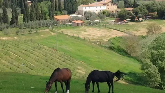 Agriturismo Renello | Toskana - Siena (vilayet) - Trequanda