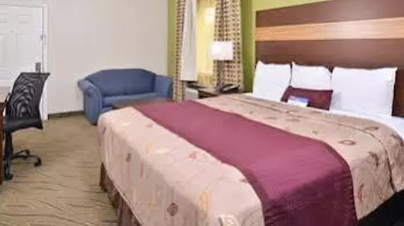 Americas Best Value Inn Downtown Houston | Teksas - Houston (ve civarı) - Houston