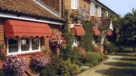 The Longham White Horse | Norfolk (kontluk) - Breckland District - Dereham