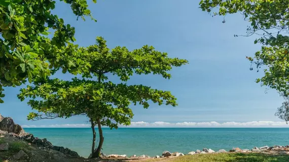 Tropical Orabelle | Queensland - Cairns - Cairns (ve civarı) - Yorkeys Knob