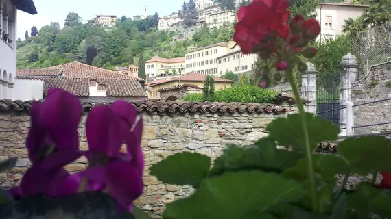 B&B Agnese Bergamo Old Town | Lombardy - Bergamo - Bergamo (ve civarı) - Bergamo