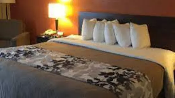 Sleep Inn & Suites East Chase | Alabama - Montgomery (ve civarı) - Montgomery