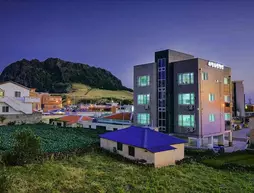 Ilchulsun Pension | Jeju Adası - Seogwipo - Seongsan