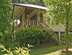 Wonderland Healing Center | Surat Thani (vilayet) - Koh Phangan