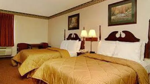 Comfort Inn Pine Bluff | Arkansas - Pine Bluff (ve civarı) - Pine Bluff