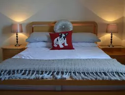 Belfast Penthouse & Apartment by Ultra Urban | Kuzey İrlanda - Antrim (kontluk) - Belfast (ve civarı) - Belfast - Queens Quarter