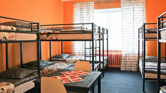 ALLiS HOSTEL | Sverdlovsk Federal Bölgesi - Yekaterinburg (ve civarı) - Yekaterinburg