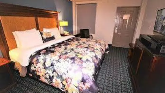 Americas Best Value Inn - Downtown / Midtown | Georgia - Atlanta (ve civarı) - Atlanta - Midtown