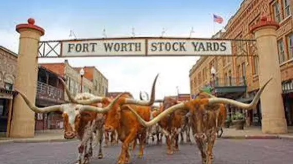 Scottish Inns Fort Worth | Teksas - Fort Worth (ve civarı) - Fort Worth