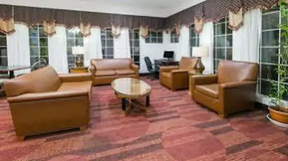 DAYS INN AND SUITES FT. WORTH DFW AIRPORT SOUTH | Teksas - Fort Worth (ve civarı) - Fort Worth