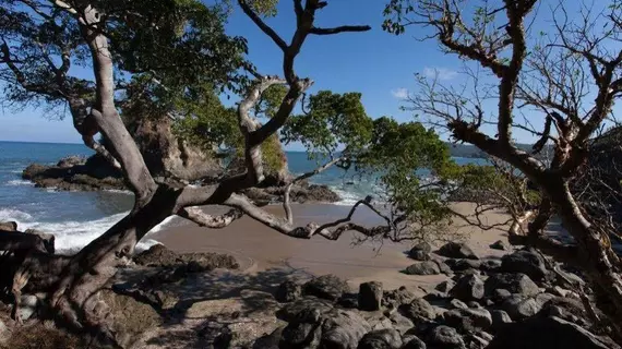 El Nido | Nayarit - Bahía de Banderas - Puerto Vallarta (ve civarı) - Sayulita