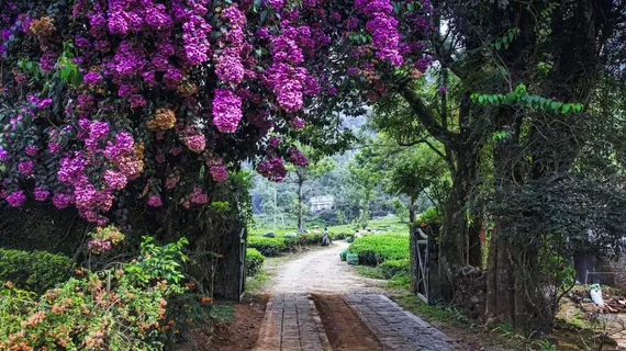 Windermere Estate | Kerala - Idukki Bölgesi - Devikolam