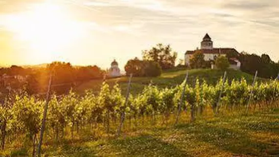 LOISIUM Wine & Spa Resort Südsteiermark | Styria - Ehrenhausen an der Weinstraße