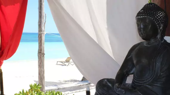 Alma Tulum | Quintana Roo - Riviera Maya - Tulum