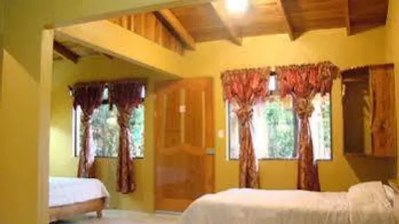 Monteverde Rustic Lodge | Puntarenas (ili) - Monteverde