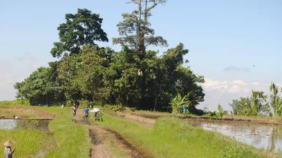 The Bali Bill Villa | Bali - Badung - Günbatımı Yolu