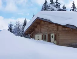 Chalet Alvine | Auvergne-Rhone-Alpes - Haute-Savoie (bölge) - Megeve