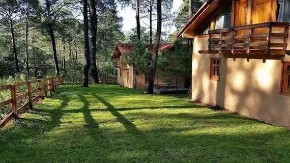 Cabanas Los Abuelos | Jalisco - Guadalajara (ve civarı) - Mazamitla