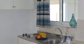 Dryoussa Apartments | Kuzey Ege Adaları - Samos