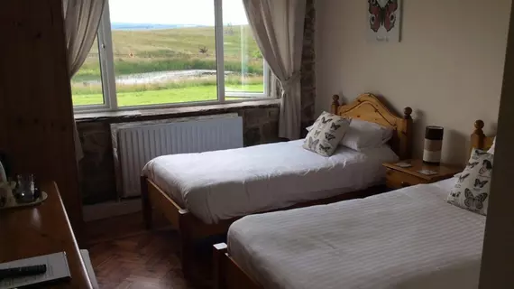 Hadrian Lodge B&B | Northumberland (kontluk) - Hexham