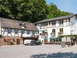 Landhotel Ringelsteiner Mühle | Rhineland-Palatinate - Moselkern