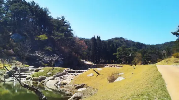 Neuraengigol | Güney Jeolla - Suncheon (ve civarı) - Gwangyang