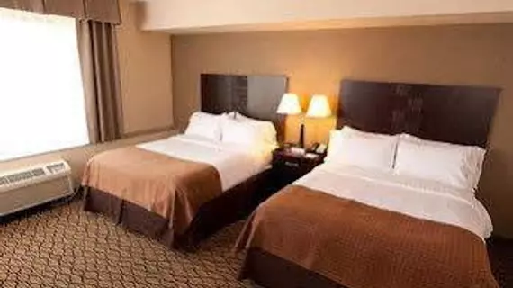 Holiday Inn Airport West Earth City | Missouri - St. Louis (ve civarı) - Earth City