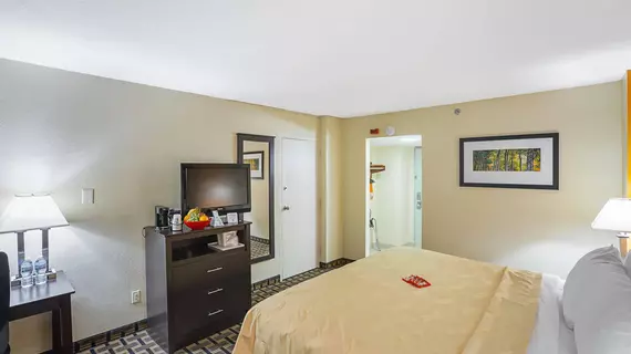 Quality Inn & Suites Cincinnati Downtown | Ohio - Cincinnati (ve civarı) - Cincinnati