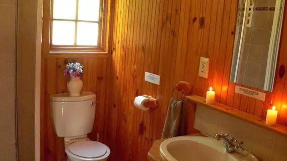 Homtini Guest Farm | Western Cape (il) - Knysna