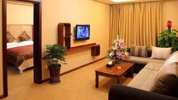 Xi'an Shen Long Hotel | Şaanksi - Xi'an - Lianhu