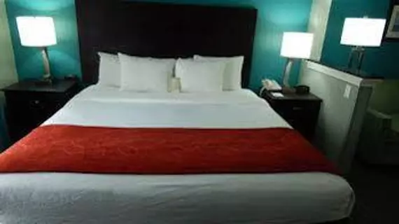 Comfort Suites Tampa | Florida - Tampa (ve civarı) - Tampa