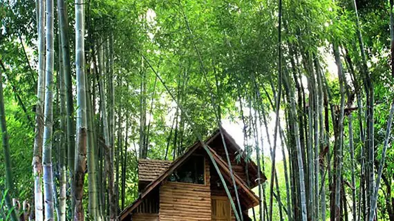 Rabeang Pasak Treehouse Resort | Chiang Mai İli - Doi Saket