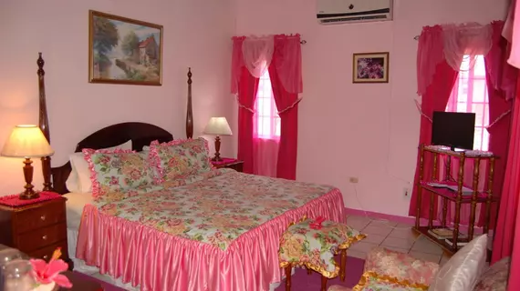 PinkHibiscus Guest House | Saint James - Montego Körfezi (ve civarı) - Montego Bay