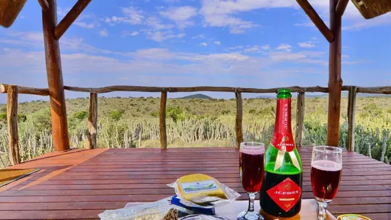 Koffylaagte Game Lodge | Eastern Cape - Ikwezi