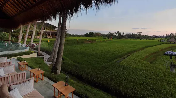 Mathis Retreat | Bali - Ubud - Kedewatan