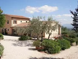 Tenuta Colverano | Umbria - Perugia (vilayet) - Montefalco