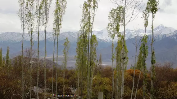 Rahela Guest House & Home Stay | Cammu ve Keşmir - Leh