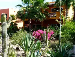 Hotel Posada La Poza | Baja California Sur - Todos Santos (ve civarı) - Todos Santos