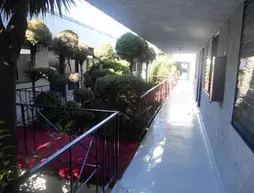 Los Angeles Backpackers Paradise Hostel | Kaliforniya - Los Angeles County - Los Angeles - LAX Bölgesi