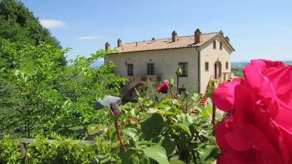 Poggio Olivo | Toskana - Siena (vilayet) - Montepulciano