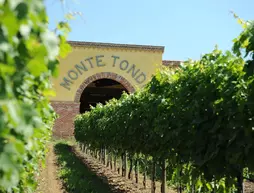 Monte Tondo | Veneto - Verona (ve civarı) - Soave