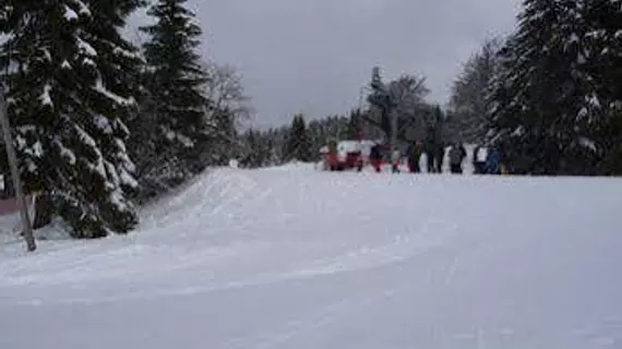 Auberge d'altitude de Grouvelin | Grand Est - Vosges (bölge) - Gerardmer