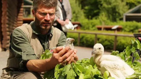 Natur-Resort Tripsdrill | Baden-Wuerttemberg - Cleebronn