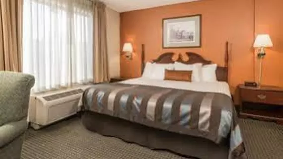 Wingate by Wyndham Airport - Rockville Rd | Indiana - Indianapolis (ve civarı) - Indianapolis